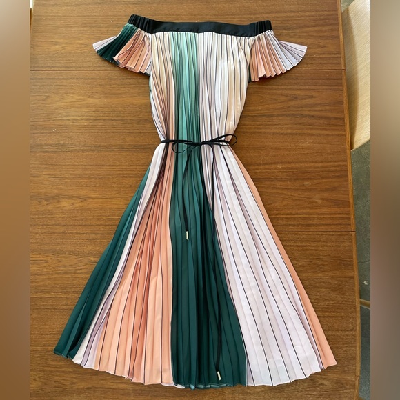 Ted Baker Beautiful Accordion Dress - Picture 1 of 6